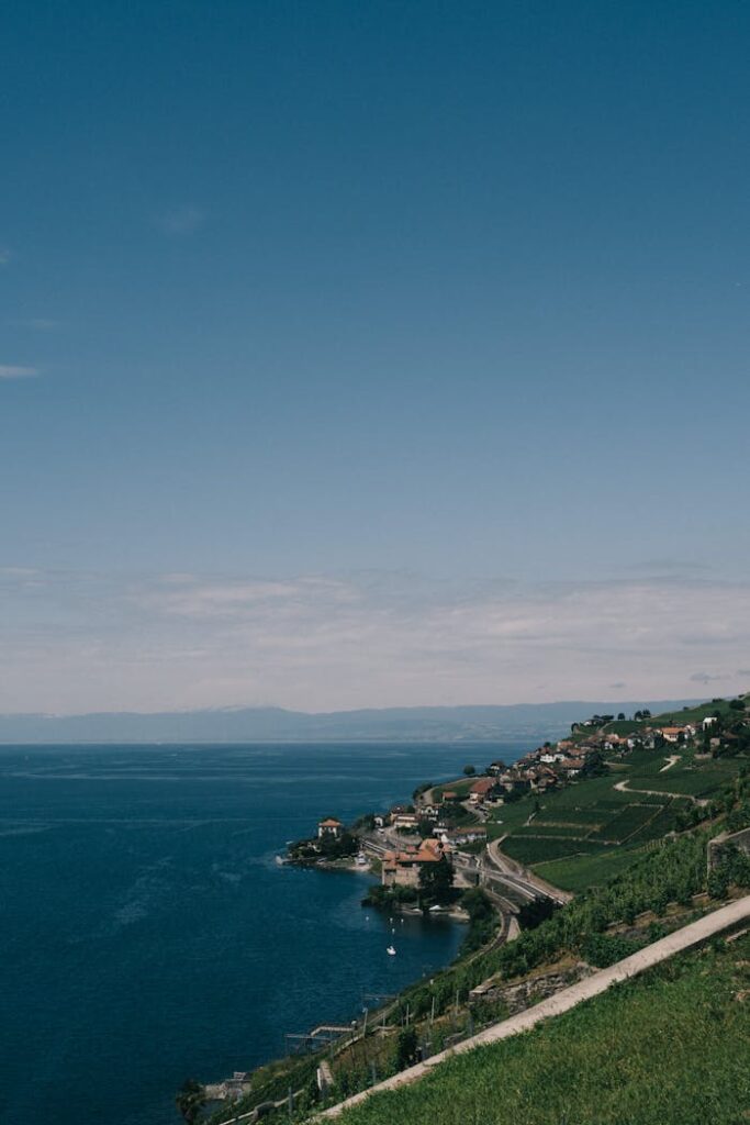 A beautiful aerial view of Lausanne's lakeshore in summer, showcasing vibrant greenery and blue waters.